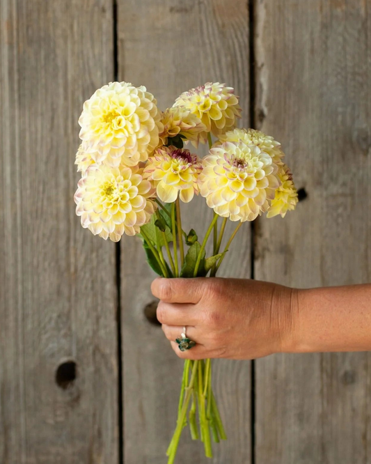 Hand holding a bouquet of yellow flowers against a wooden background