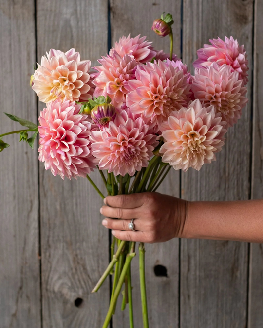 Hand holding a bouquet of pink flowers against a wooden background