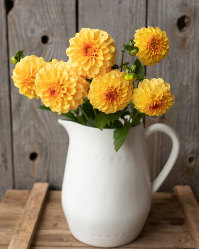 White pitcher filled with yellow flowers on a wooden surface with a wooden background