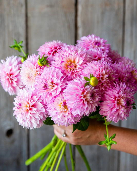 Bouquet of pink flowers held by a person against a wooden background
