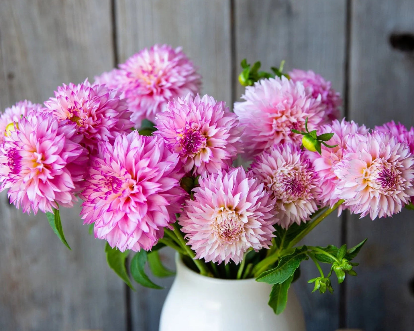 Bouquet of pink flowers in a white vase against a wooden background