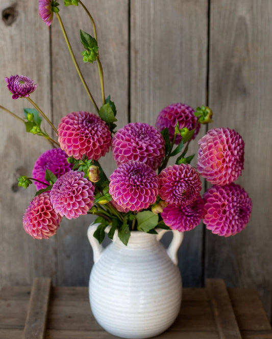 White vase with pink dahlias against a wooden background