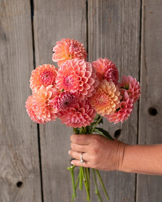 Hand holding a bouquet of pink flowers against a wooden background