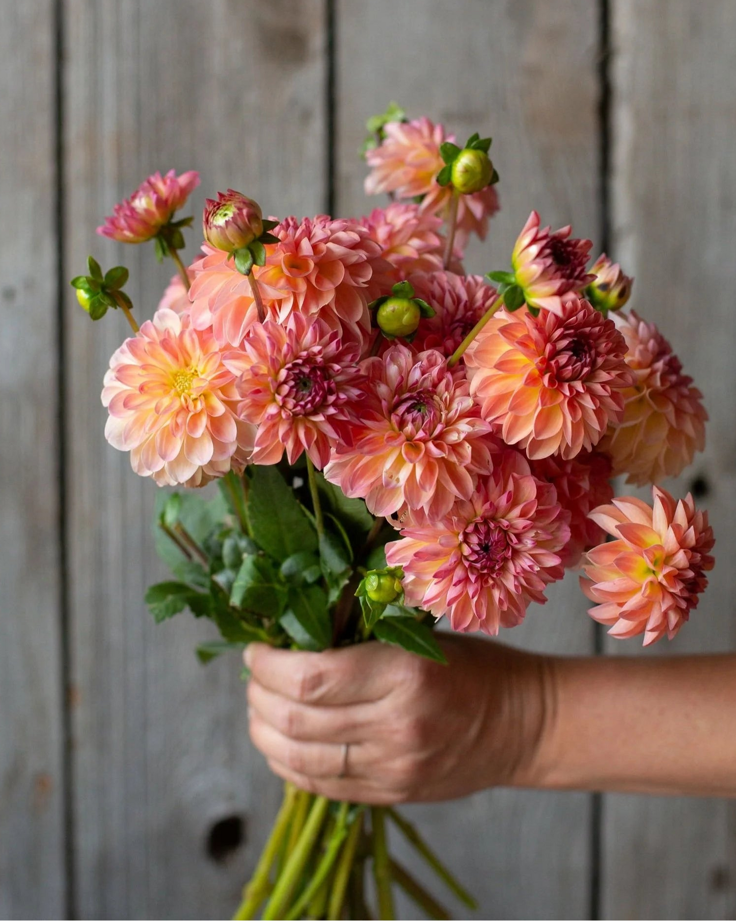 Hand holding a bouquet of pink and peach flowers against a wooden background