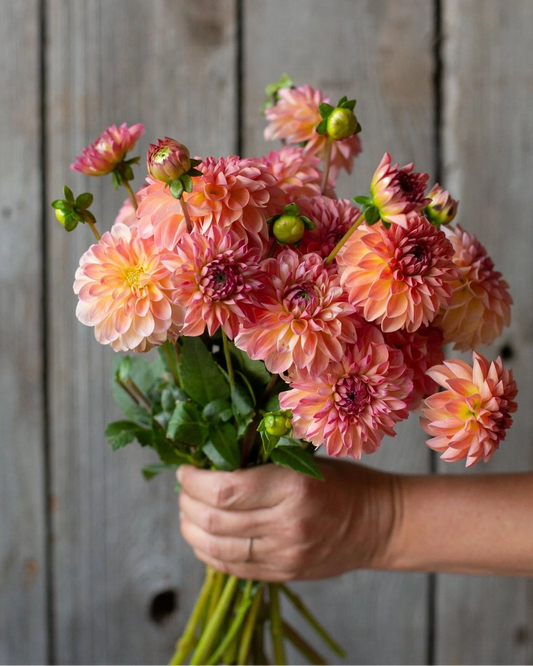 Hand holding a bouquet of pink and peach flowers against a wooden background