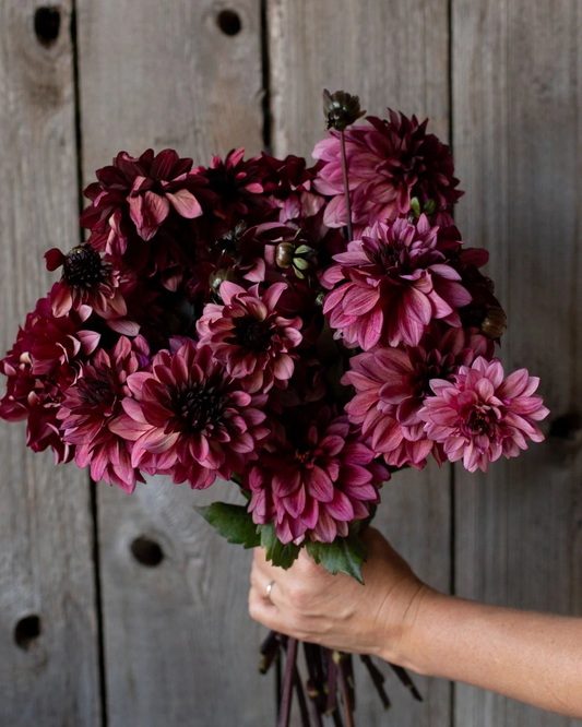 Bouquet of pink and purple flowers held against a wooden background