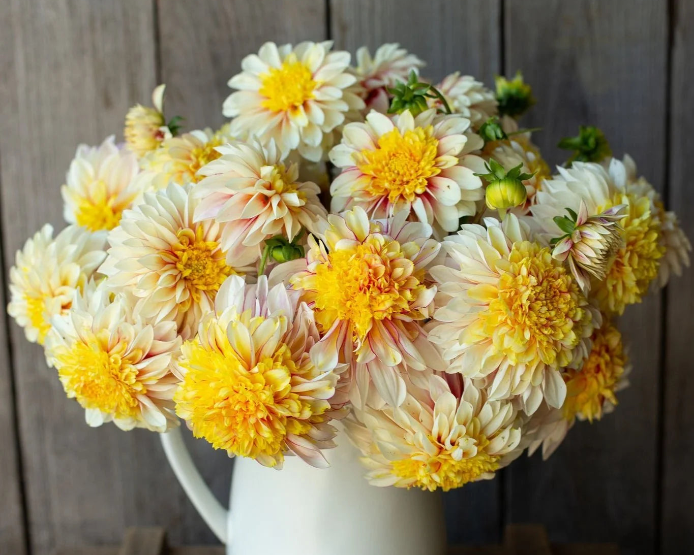 Bouquet of yellow and white flowers in a white vase against a wooden background