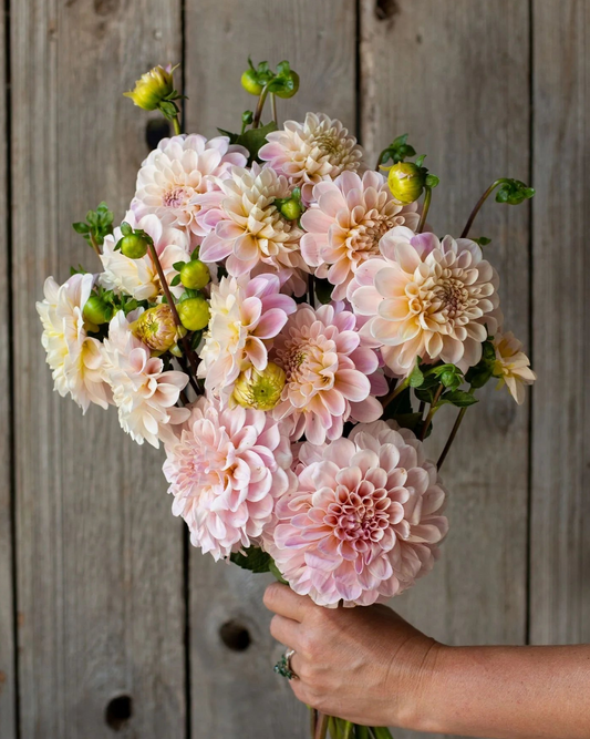 Bouquet of pink and white flowers held against a wooden background