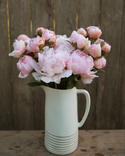 White pitcher filled with pink peony flowers against a wooden background