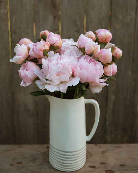 White pitcher filled with pink peony flowers against a wooden background