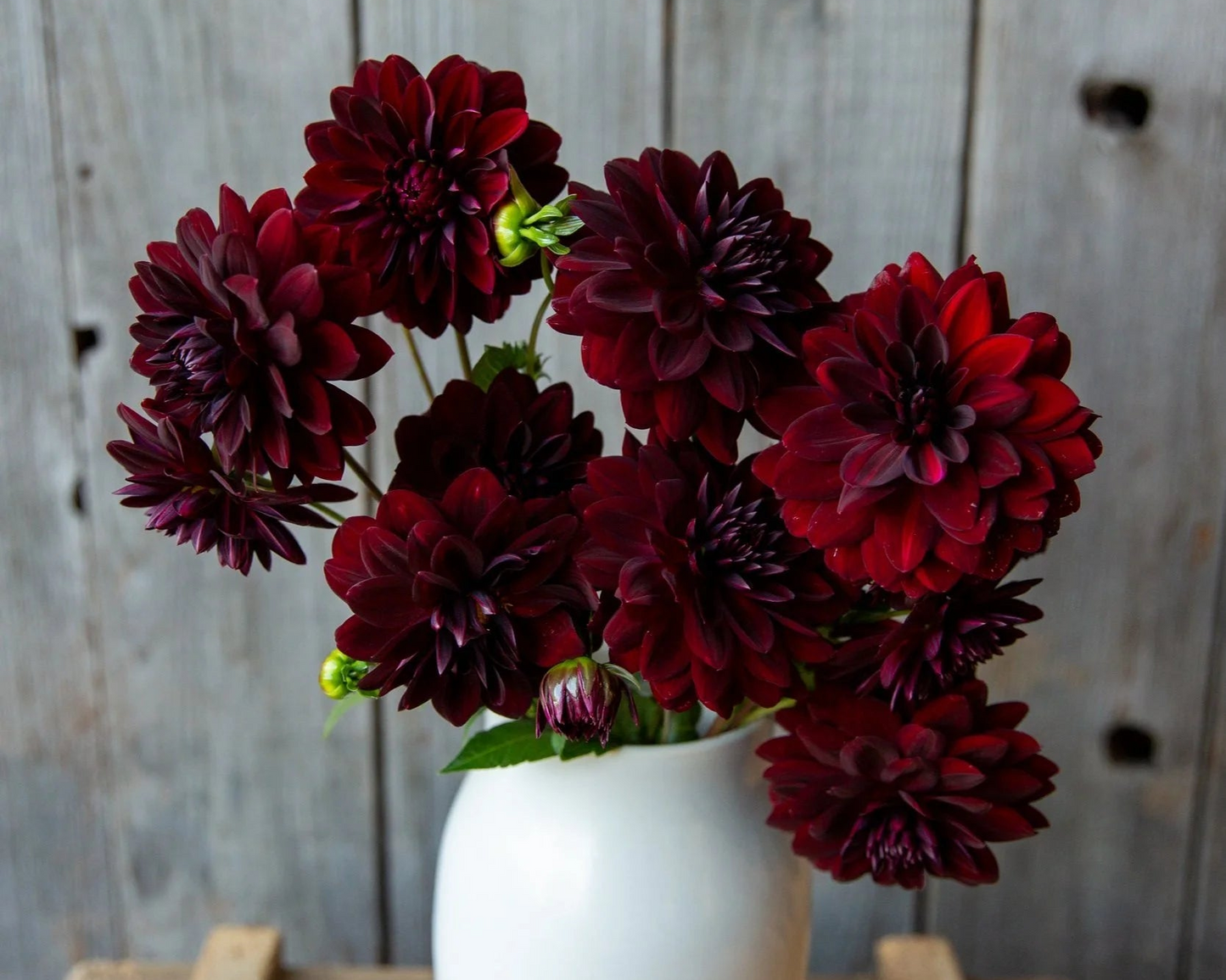 Bouquet of deep red flowers in a white vase against a wooden background