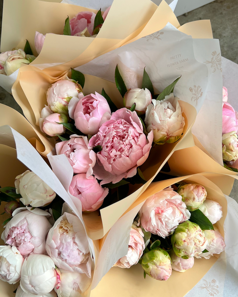 Bouquet of pink and white peony flowers wrapped in brown paper on a white background