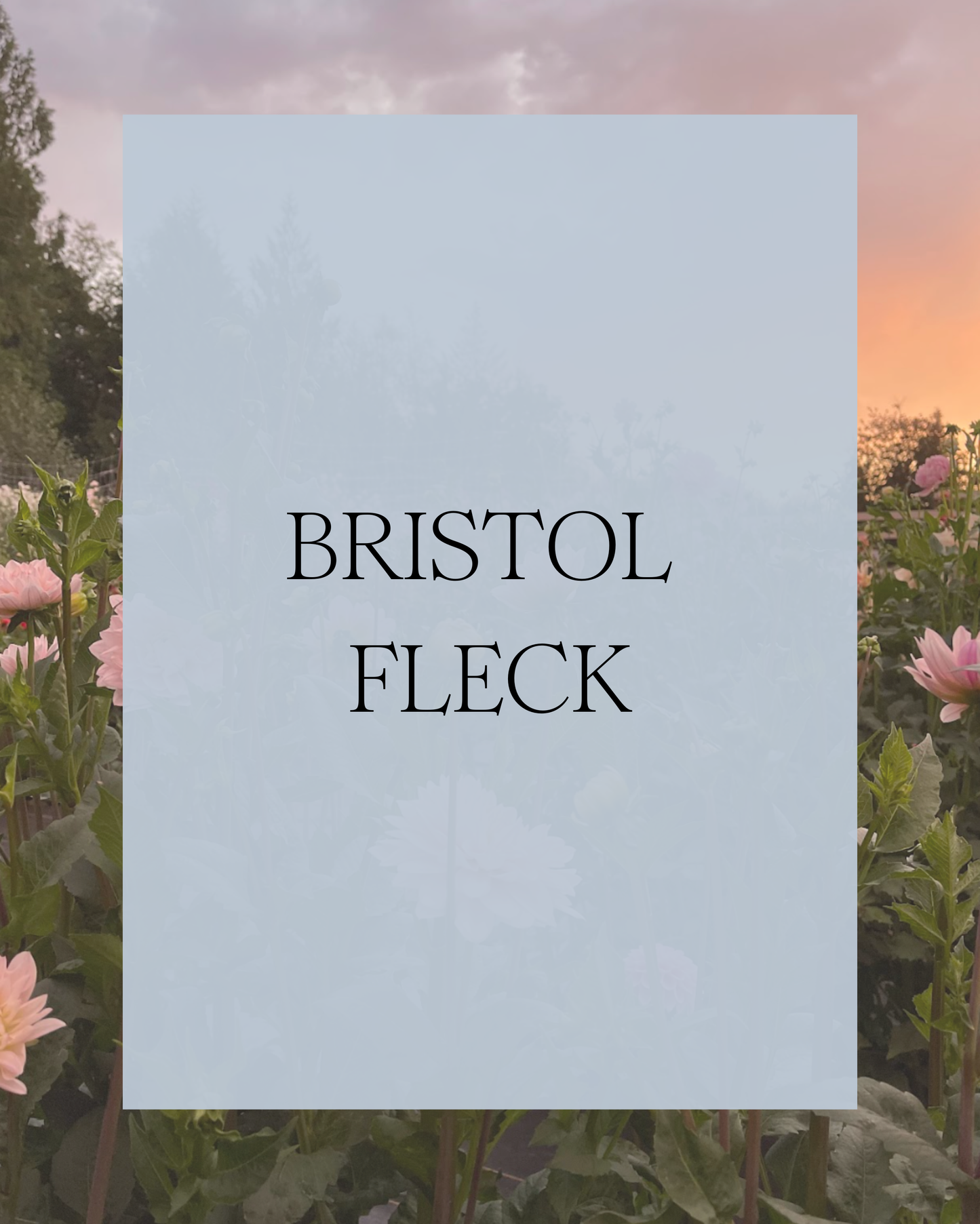 Bristol Fleck