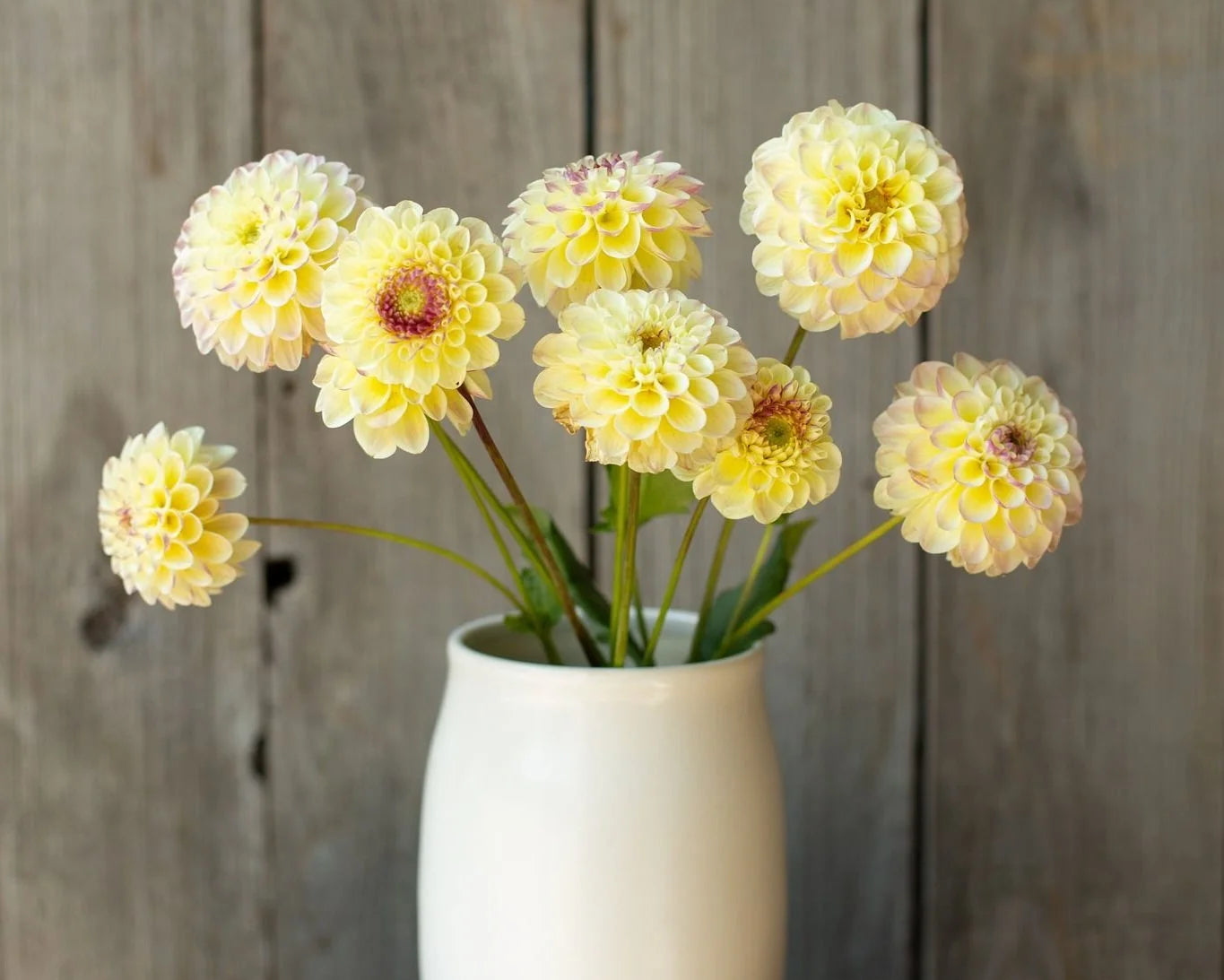 White vase with yellow flowers against a wooden background