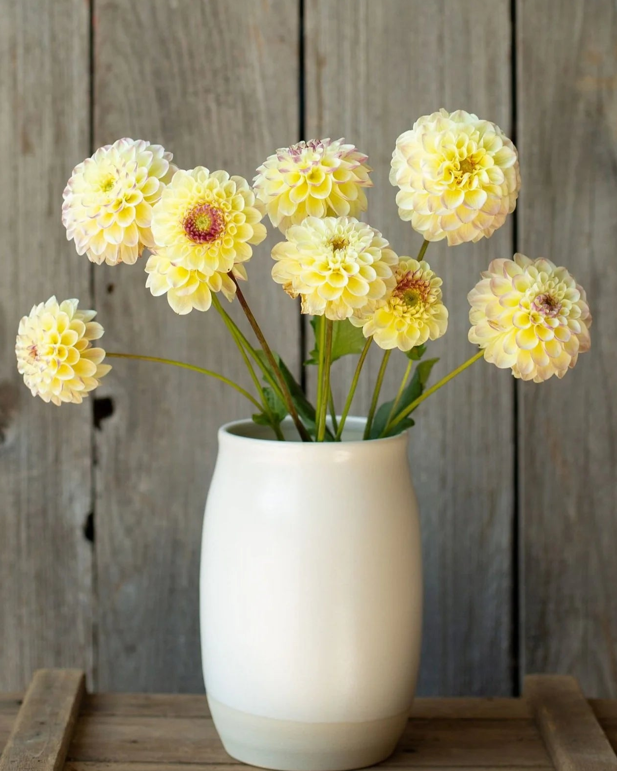 White vase with yellow flowers against a wooden background