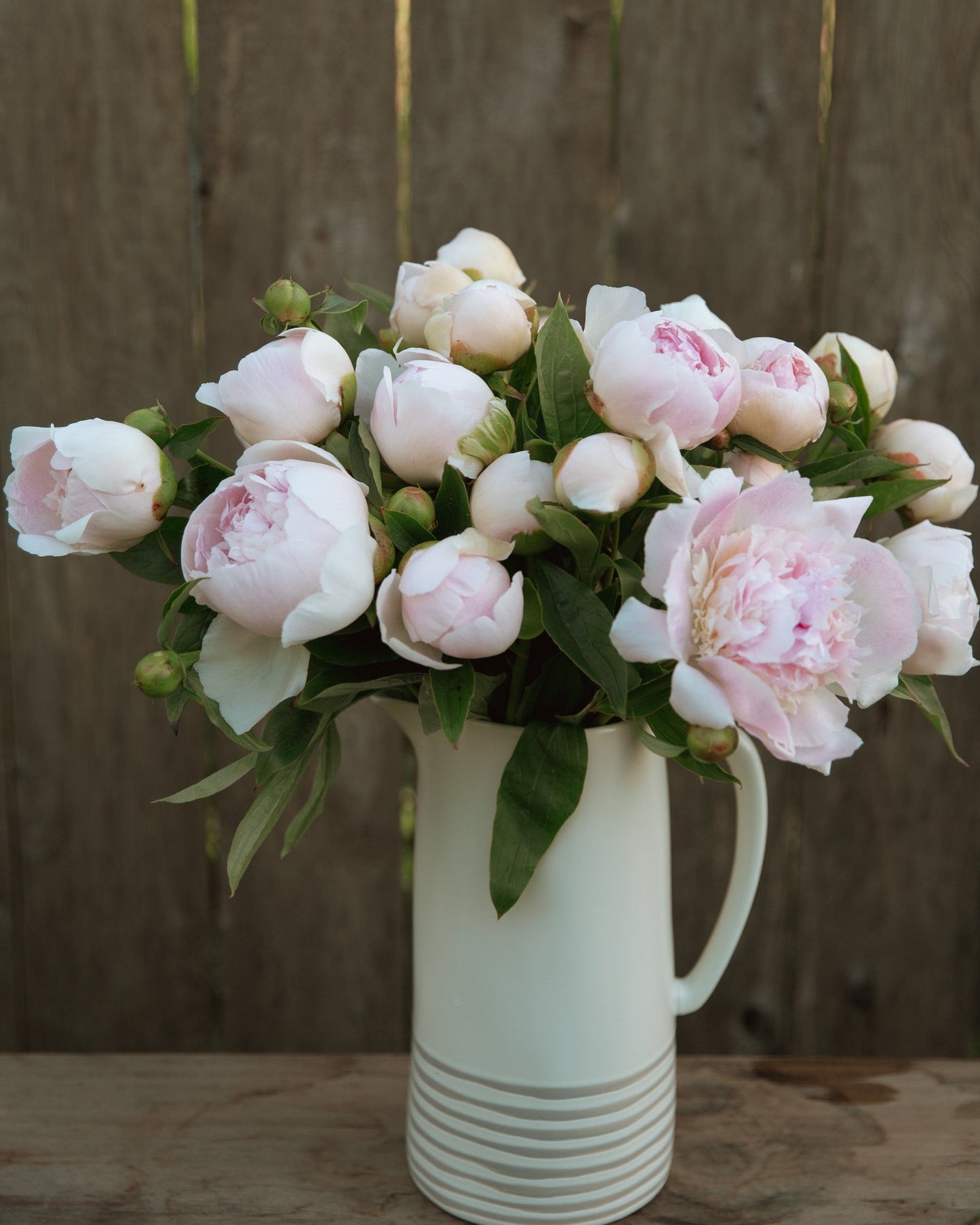 Bouquet of pink peonies in a white vase against a wooden background