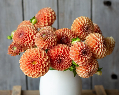 Bouquet of peach-colored flowers in a white vase against a wooden background