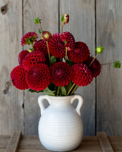 White vase with red flowers against a wooden background
