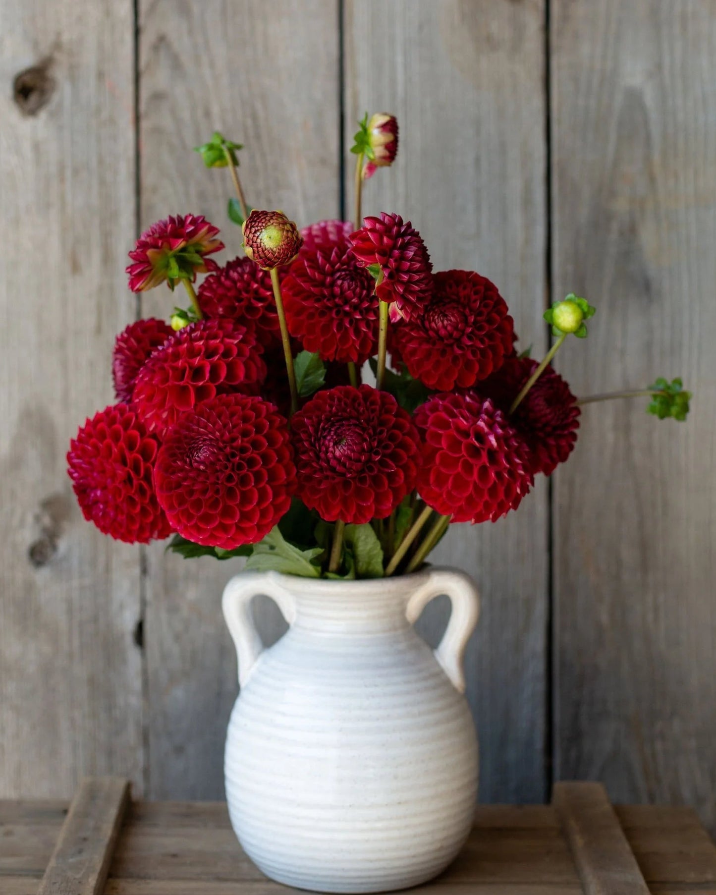 White vase with red flowers against a wooden background