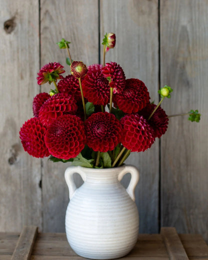White vase with red flowers against a wooden background