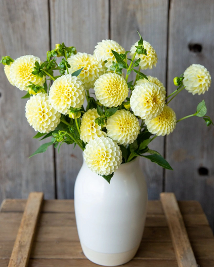 White vase with yellow flowers on a wooden surface against a wooden panel background