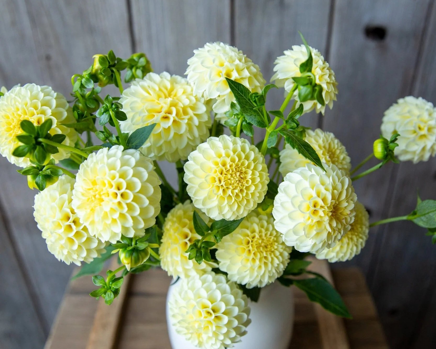 Bouquet of yellow flowers in a white vase on a wooden surface with a wooden background