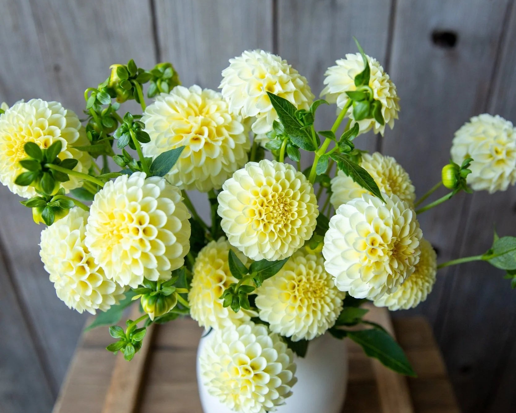 Bouquet of yellow flowers in a white vase on a wooden surface with a wooden background