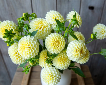 Bouquet of yellow flowers in a white vase on a wooden surface with a wooden background