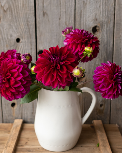 White pitcher with pink dahlias on a wooden surface and rustic wooden background