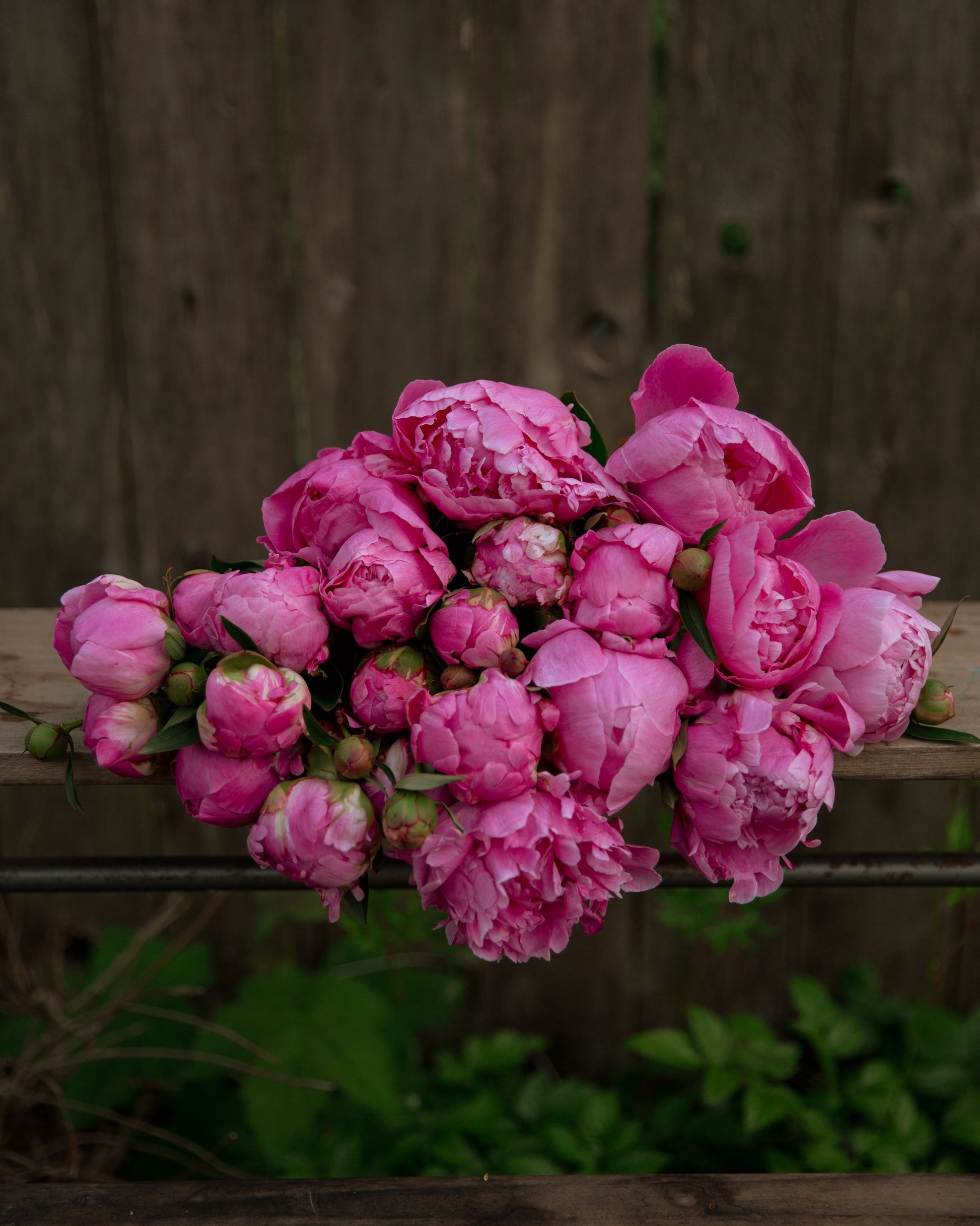 Bouquet of pink peony flowers on a wooden surface with a natural background