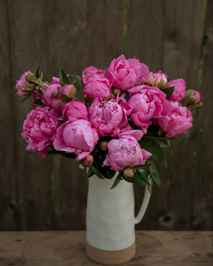 Bouquet of pink peony flowers in a white vase against a wooden background