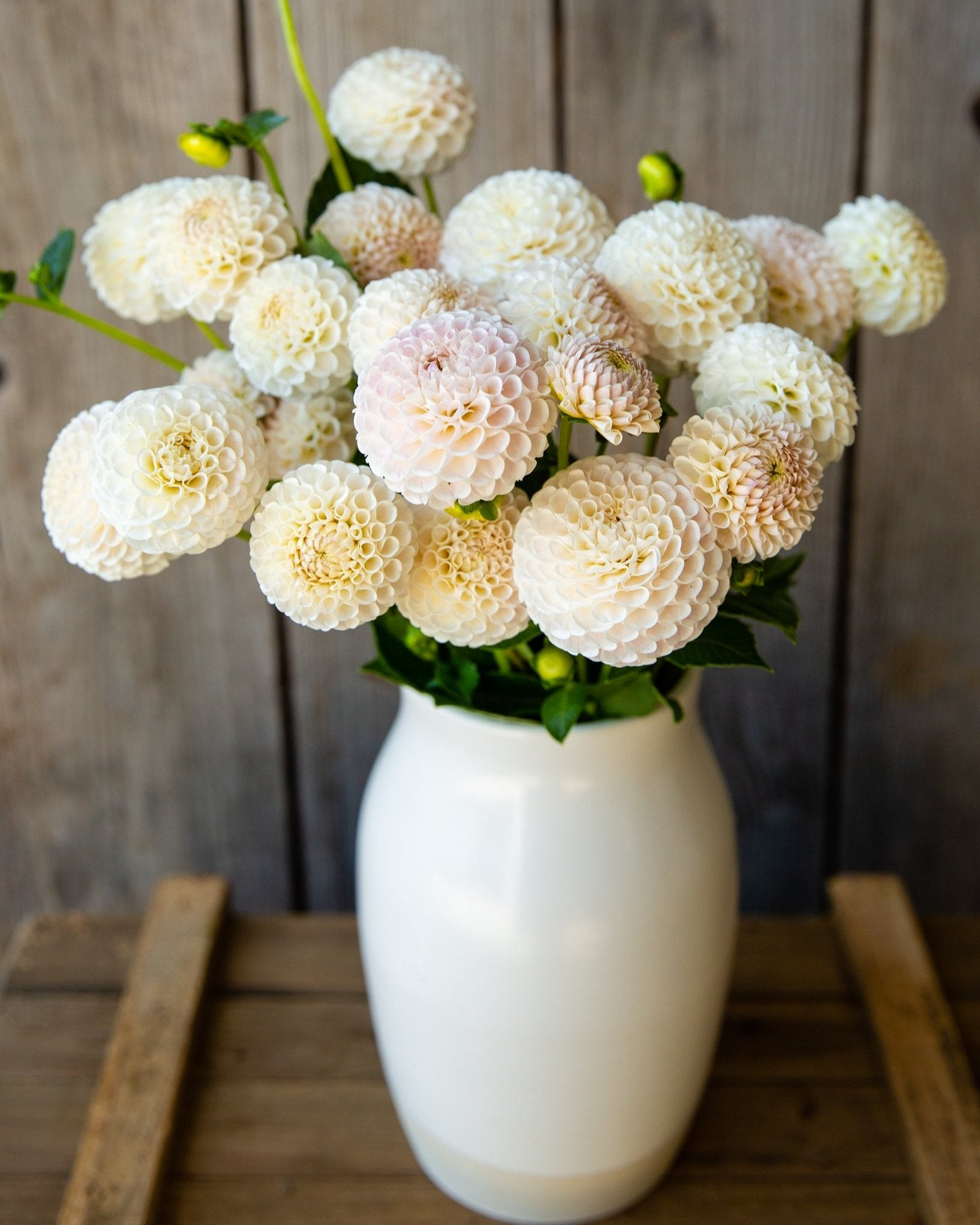 White vase with a bouquet of white and light pink flowers on a wooden surface.