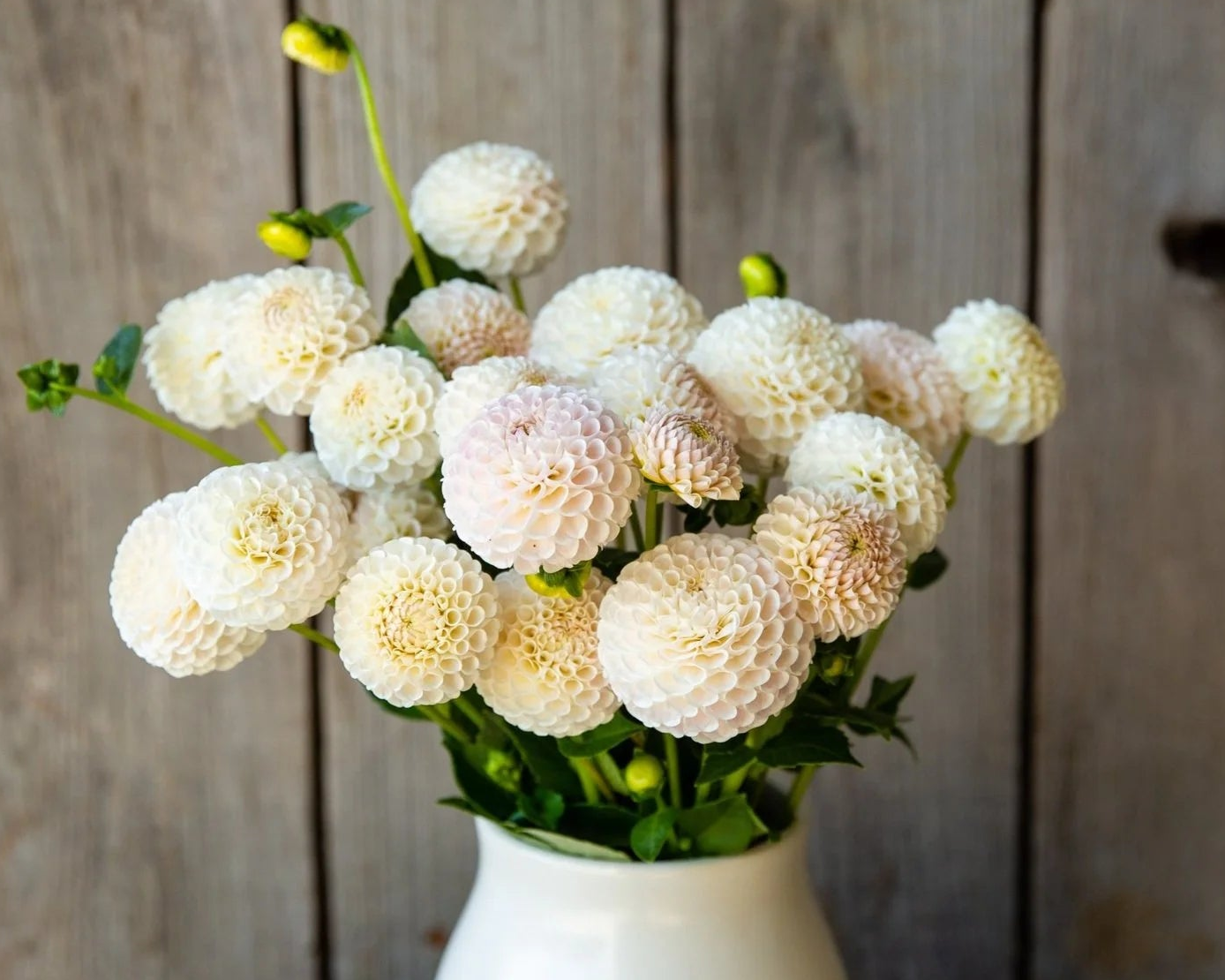 Bouquet of white and beige flowers in a white vase against a wooden background