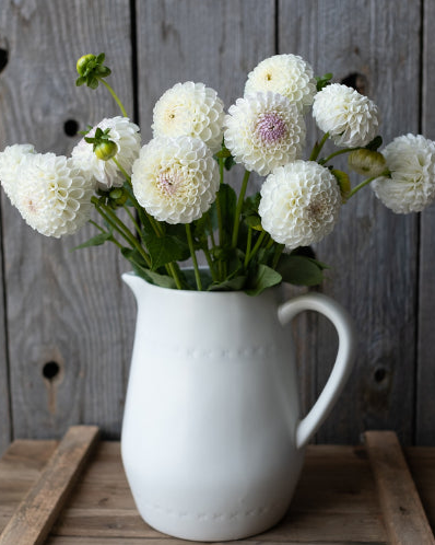 White pitcher filled with white flowers on a wooden surface with a wooden background