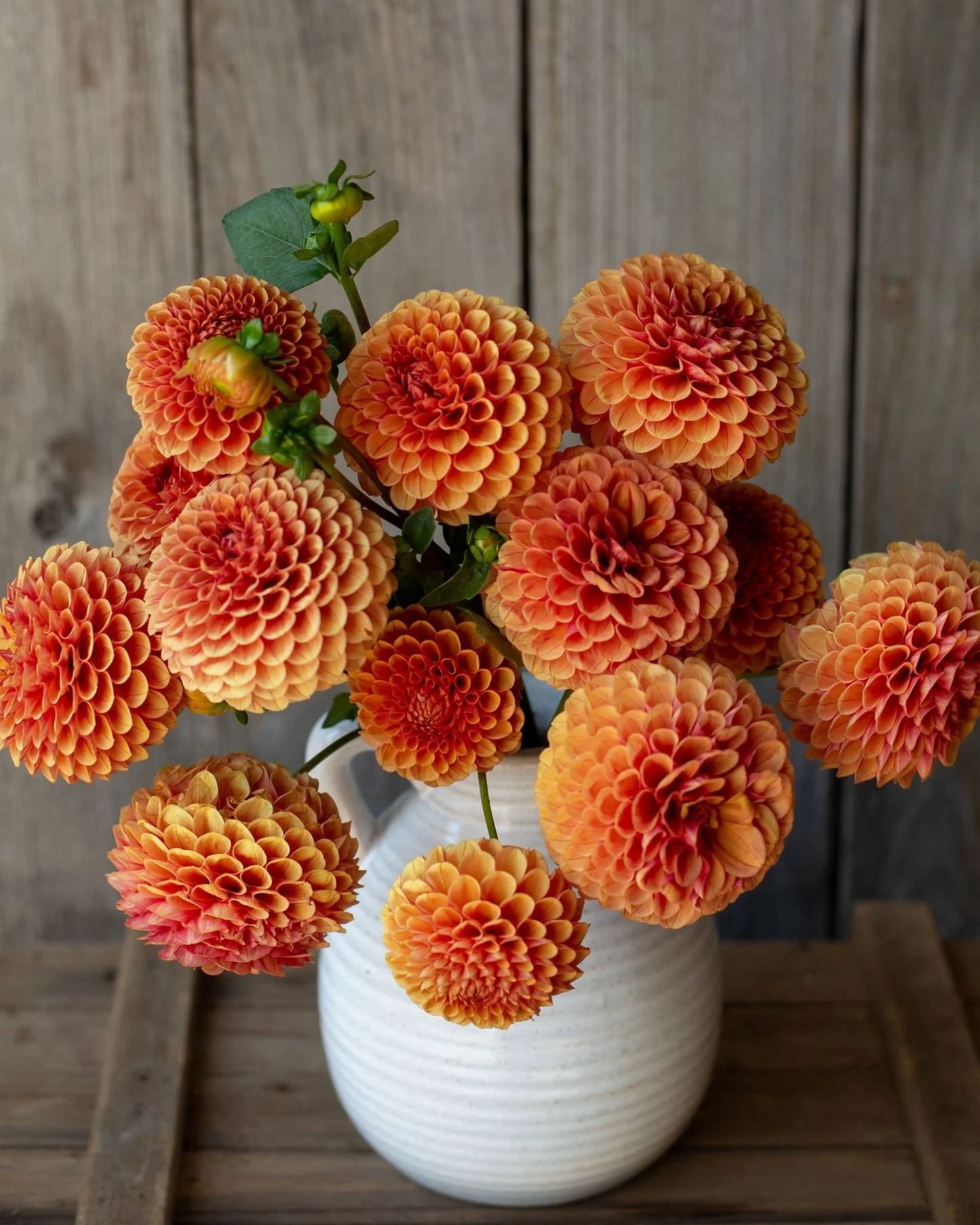 Bouquet of orange flowers in a white vase on a wooden surface with a wooden panel background