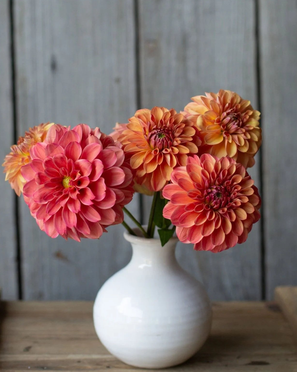 White vase with pink and orange flowers on a wooden surface against a wooden panel background