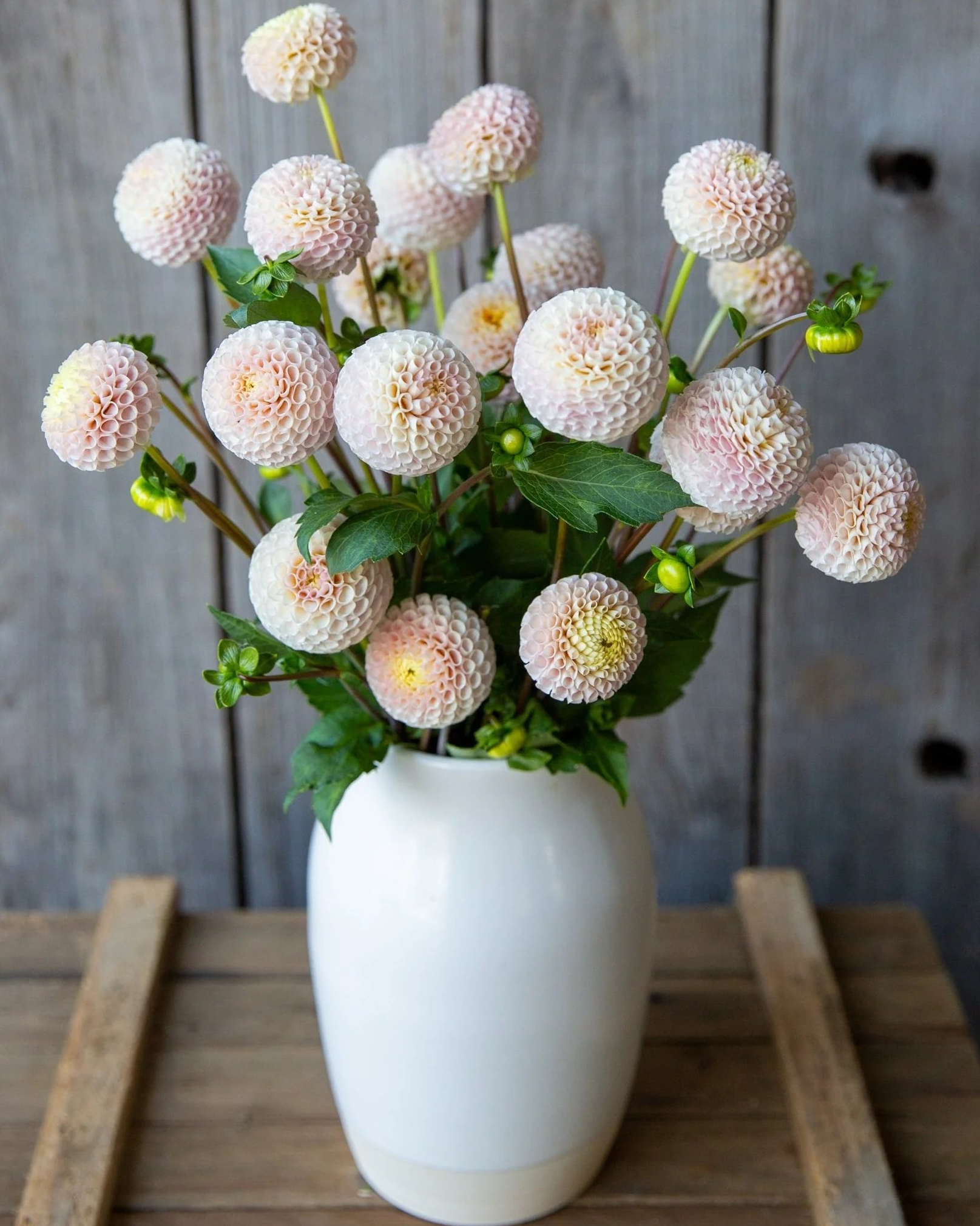 White vase with pink flowers on a wooden surface against a rustic wooden wall.