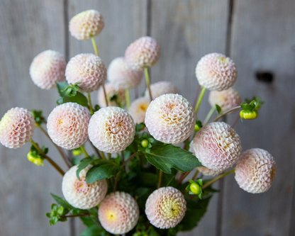 Bouquet of light pink flowers in a white vase against a wooden background