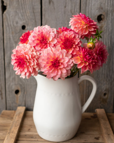 White pitcher filled with pink flowers on a wooden surface and background