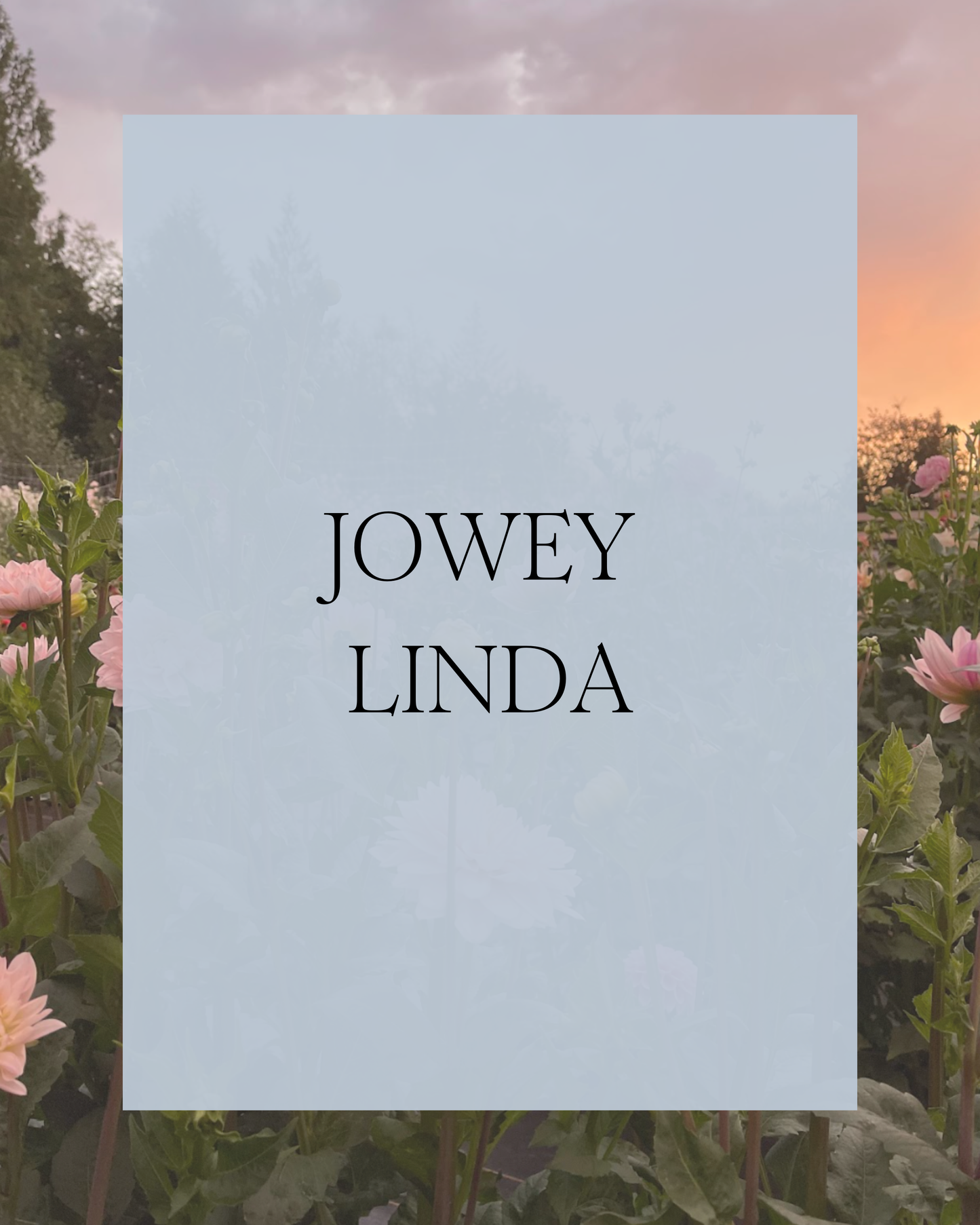 Jowey Linda