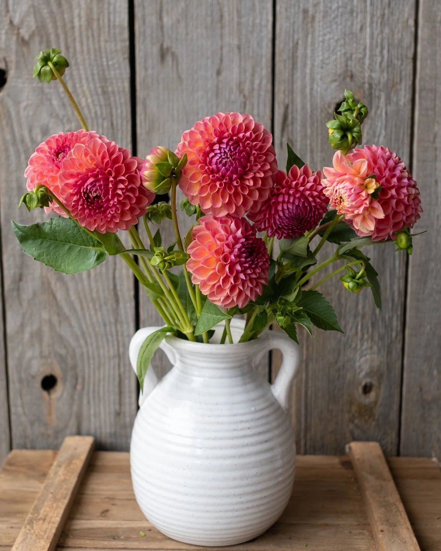 White vase with pink flowers against a wooden background