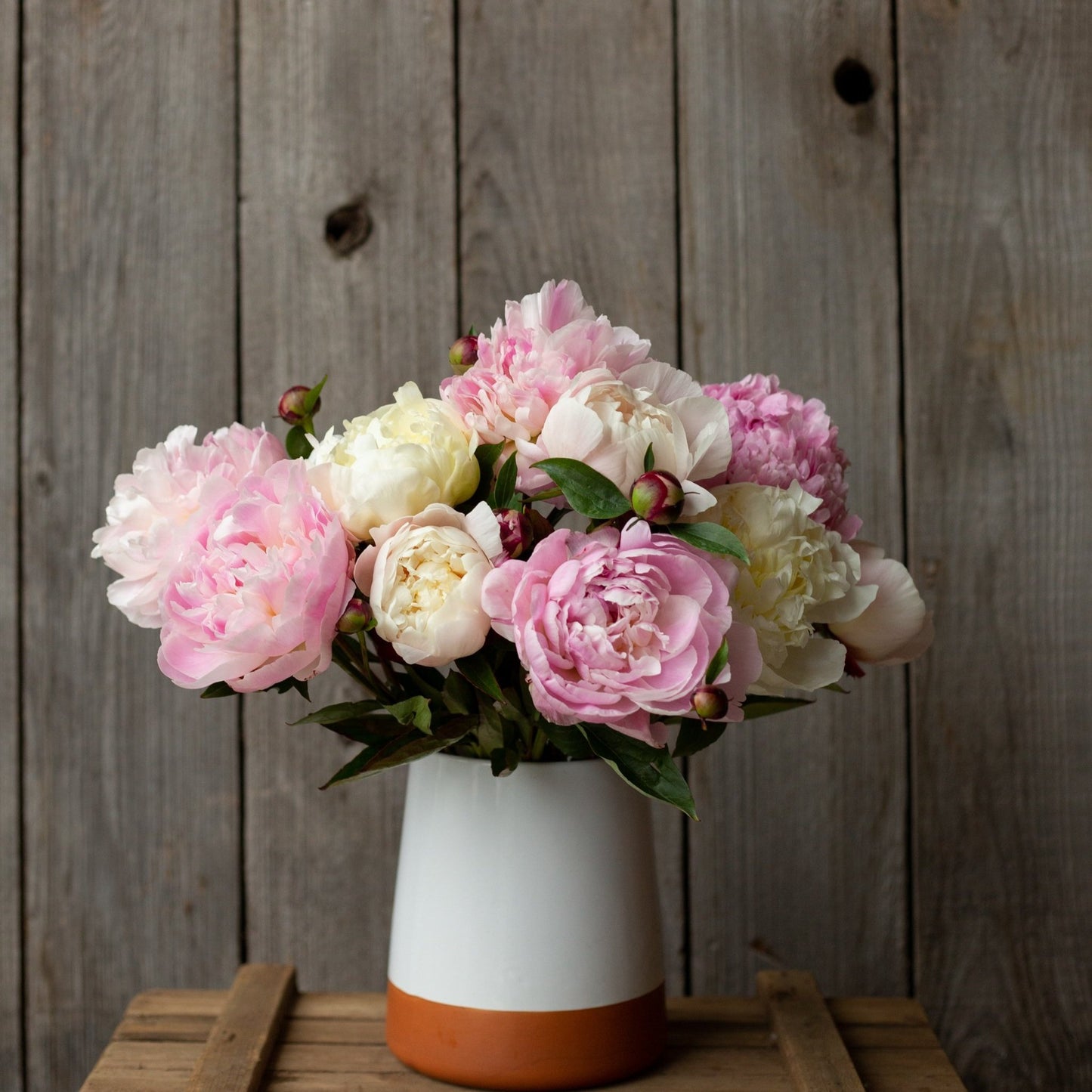 Peonies (Fresh)