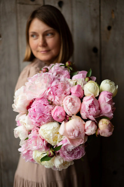 Peonies (Fresh)