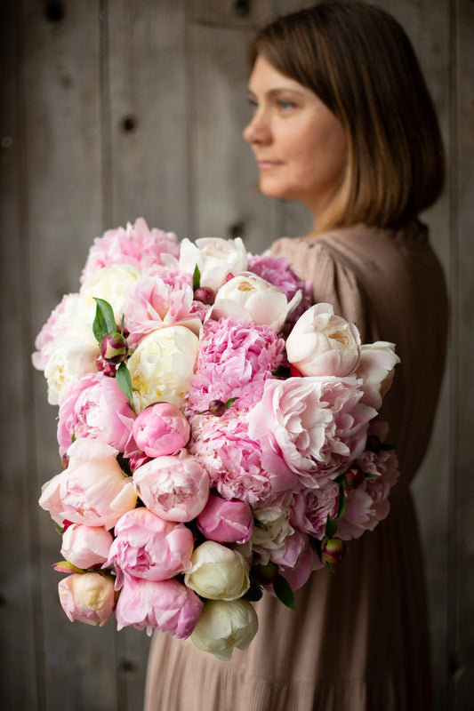 Peonies (Fresh)