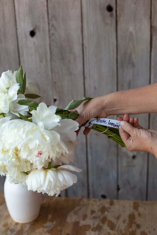 Peony - Marie Lemoine