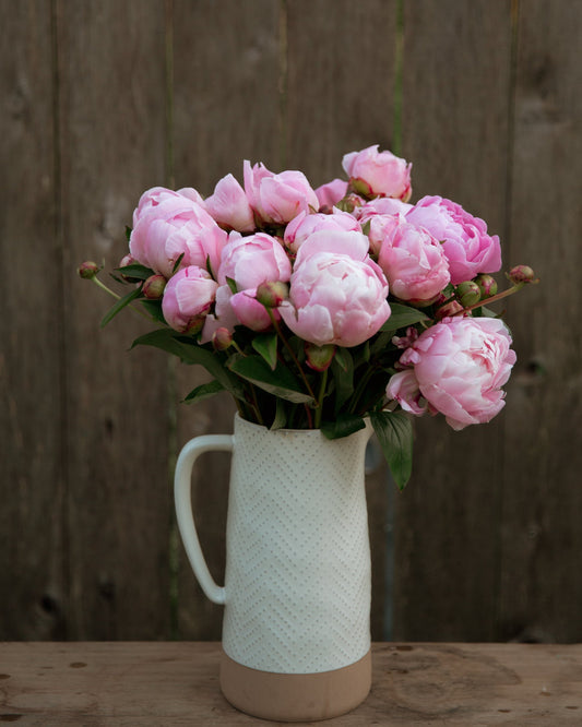 Bouquet of pink peony flowers in a white textured vase against a wooden background