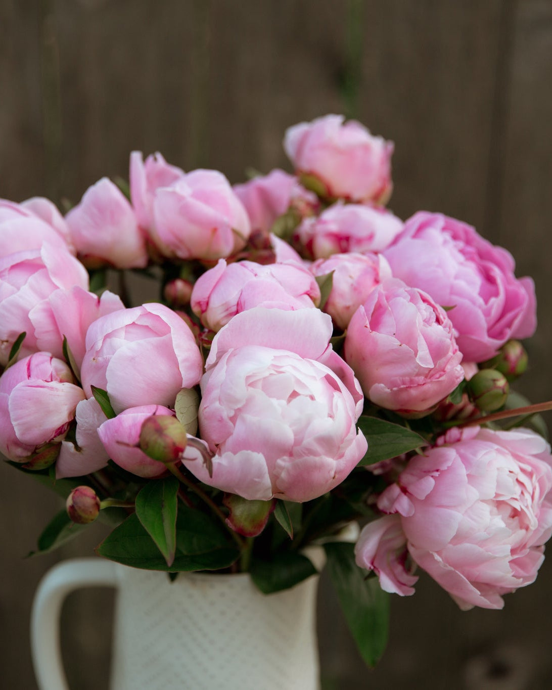 Bouquet of pink peonies in a white vase against a wooden background