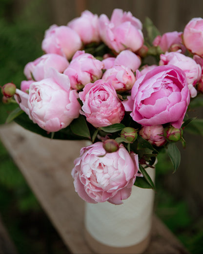 Bouquet of pink peonies in a white vase against a blurred natural background