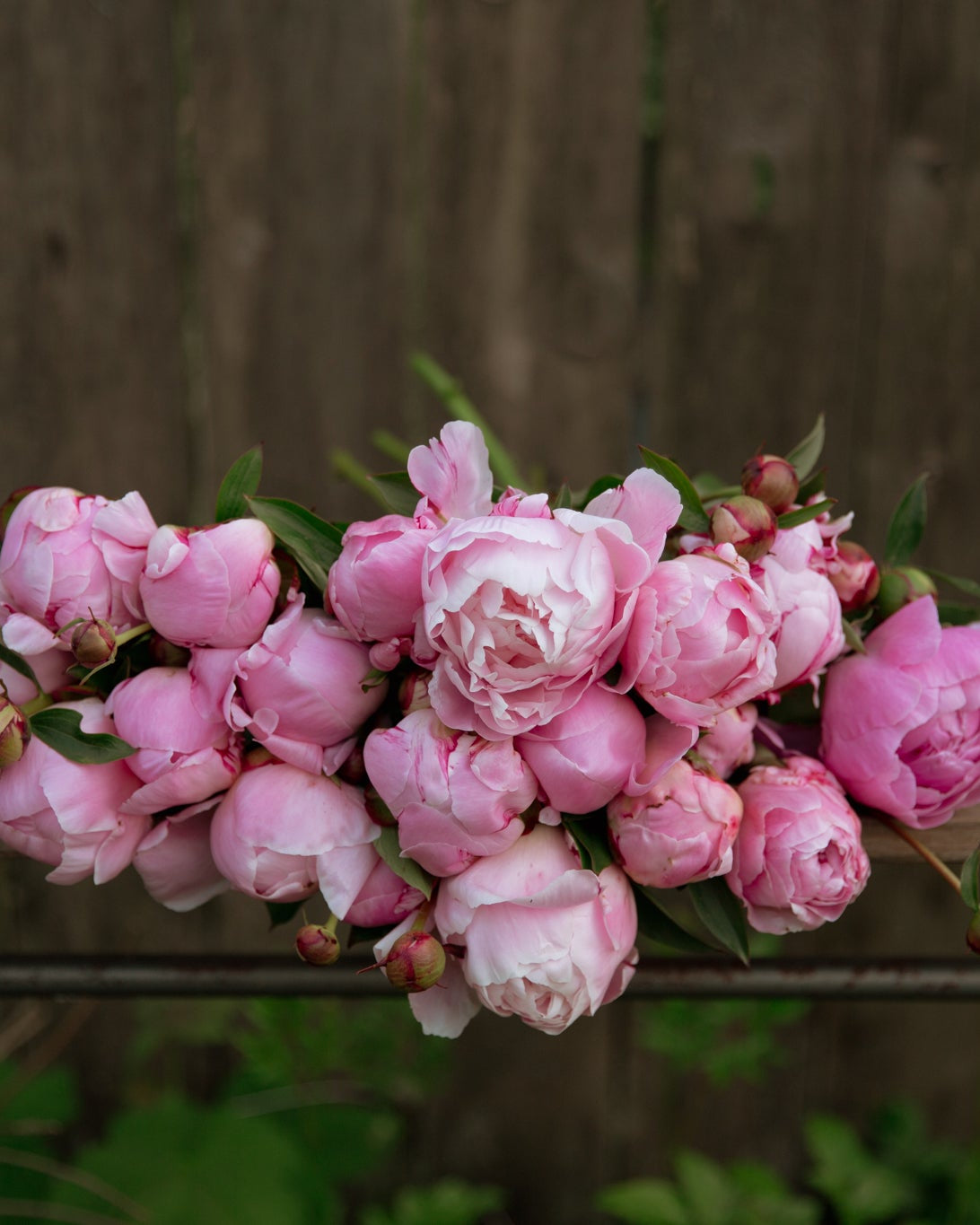 Pink peony flower headband on a wooden surface with a blurred natural background