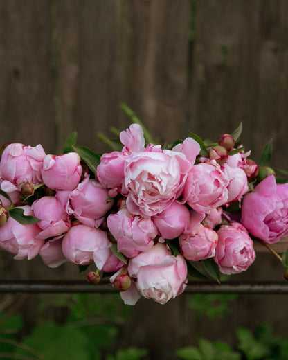 Pink peony flower headband on a wooden surface with a blurred natural background